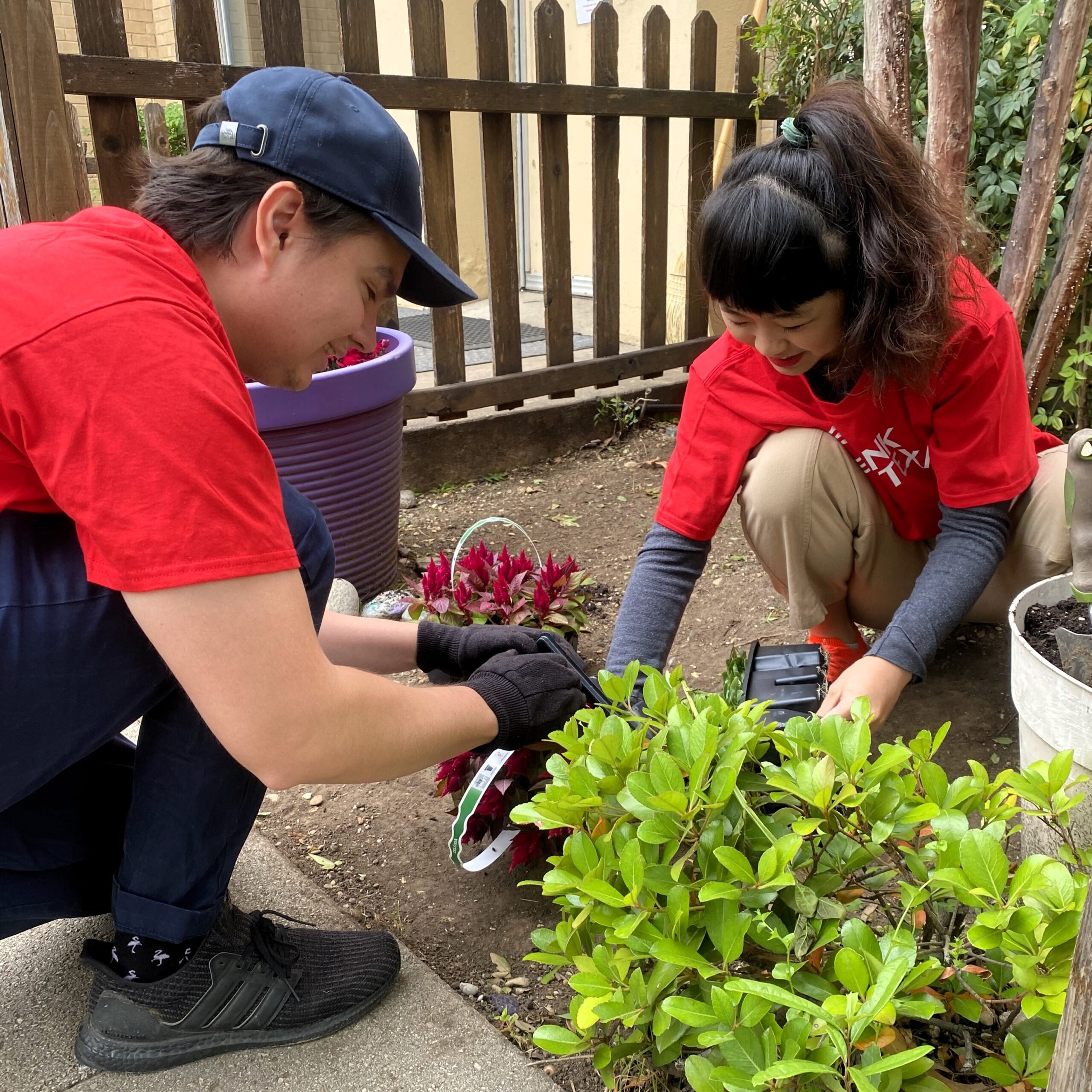 two volunteers planting flowers